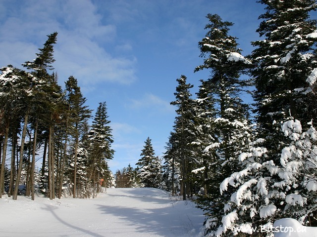 Entrance to Winter