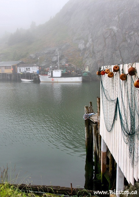 Foggy Fishing Village