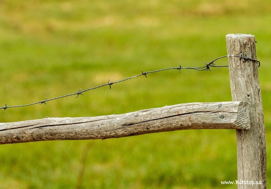 fence-and-barbed-wire.jpg
